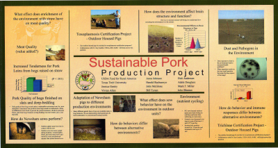 Portfolio049_edited-1