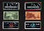Portfolio005